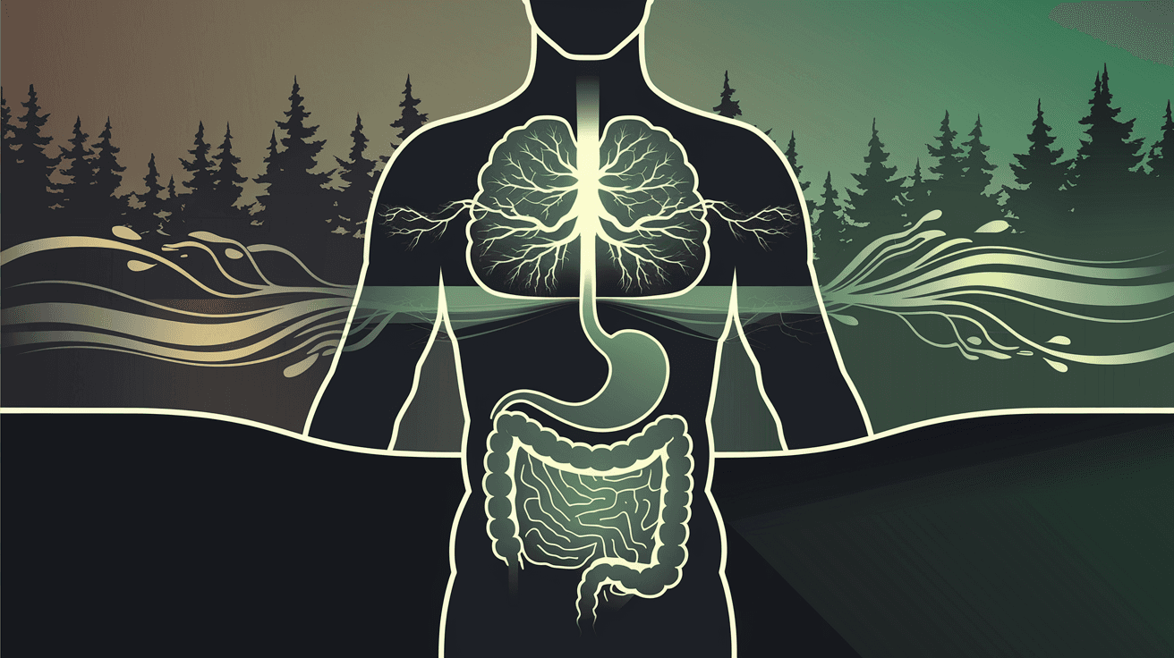 The Gut-Brain Connection Explained